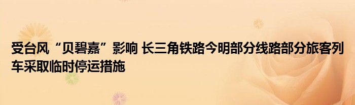 受台风“贝碧嘉”影响 长三角铁路今明部分线路部分旅客列车采取临时停运措施