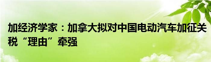 加经济学家：加拿大拟对中国电动汽车加征关税“理由”牵强