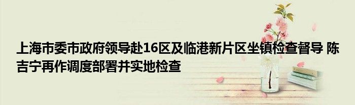 上海市委市政府领导赴16区及临港新片区坐镇检查督导 陈吉宁再作调度部署并实地检查