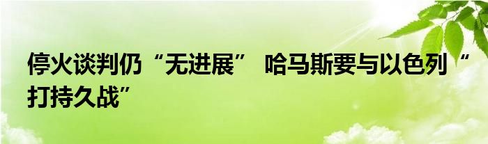 停火谈判仍“无进展” 哈马斯要与以色列“打持久战”