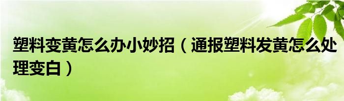 塑料变黄怎么办小妙招（通报塑料发黄怎么处理变白）