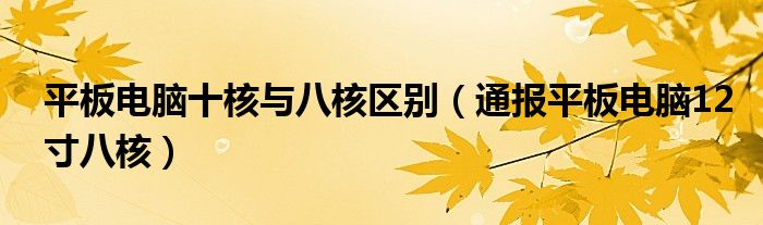 平板电脑十核与八核区别（通报平板电脑12寸八核）