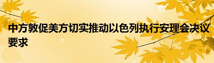 中方敦促美方切实推动以色列执行安理会决议要求