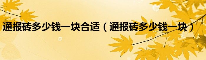 通报砖多少钱一块合适（通报砖多少钱一块）