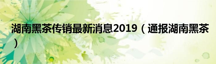 湖南黑茶传销最新消息2019（通报湖南黑茶）