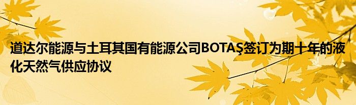 道达尔能源与土耳其国有能源公司BOTAŞ签订为期十年的液化天然气供应协议