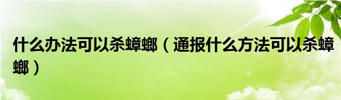 什么办法可以杀蟑螂（通报什么方法可以杀蟑螂）