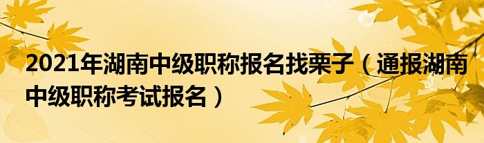 2021年湖南中级职称报名找栗子（通报湖南中级职称考试报名）