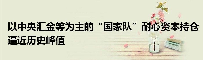 以中央汇金等为主的“国家队”耐心资本持仓逼近历史峰值