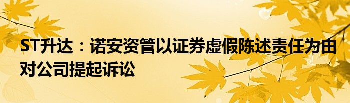 ST升达：诺安资管以证券虚假陈述责任为由对公司提起诉讼