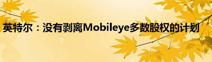 英特尔：没有剥离Mobileye多数股权的计划