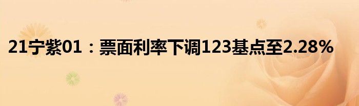 21宁紫01：票面利率下调123基点至2.28%