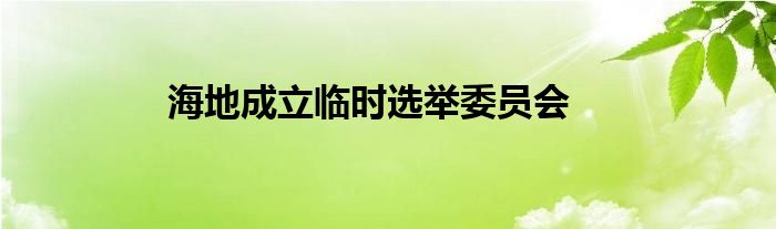 海地成立临时选举委员会