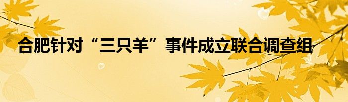 合肥针对“三只羊”事件成立联合调查组