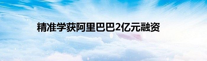 精准学获阿里巴巴2亿元融资