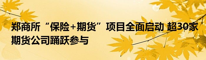 郑商所“保险+期货”项目全面启动 超30家期货公司踊跃参与