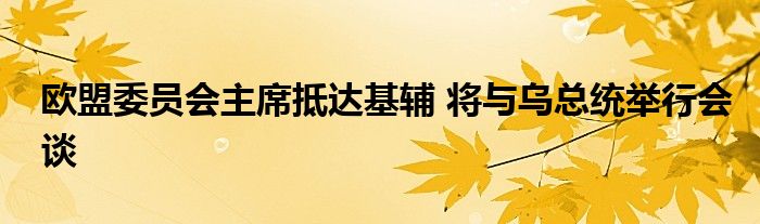 欧盟委员会主席抵达基辅 将与乌总统举行会谈