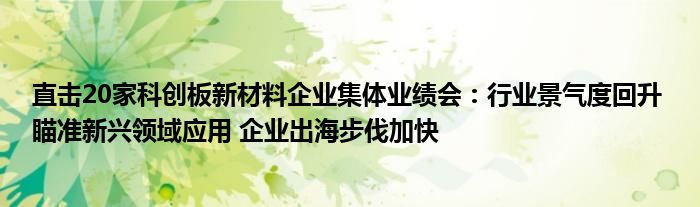 直击20家科创板新材料企业集体业绩会：行业景气度回升 瞄准新兴领域应用 企业出海步伐加快