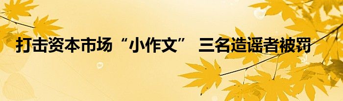 打击资本市场“小作文” 三名造谣者被罚