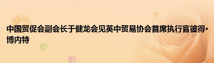 中国贸促会副会长于健龙会见英中贸易协会首席执行官彼得·博内特