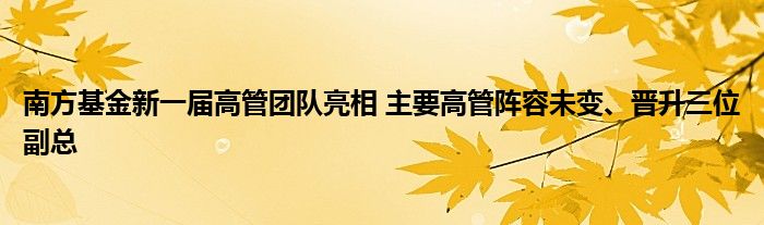 南方基金新一届高管团队亮相 主要高管阵容未变、晋升三位副总