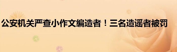 公安机关严查小作文编造者！三名造谣者被罚