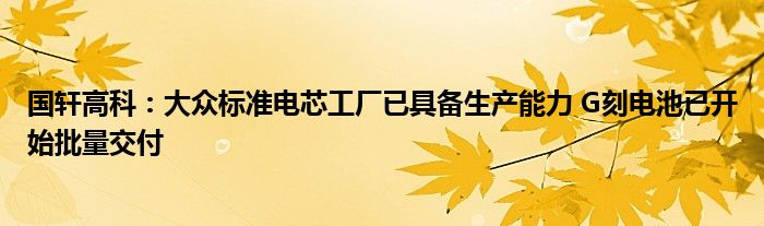 国轩高科：大众标准电芯工厂已具备生产能力 G刻电池已开始批量交付