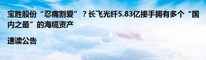 宝胜股份“忍痛割爱”？长飞光纤5.83亿接手拥有多个“国内之最”的海缆资产|速读公告