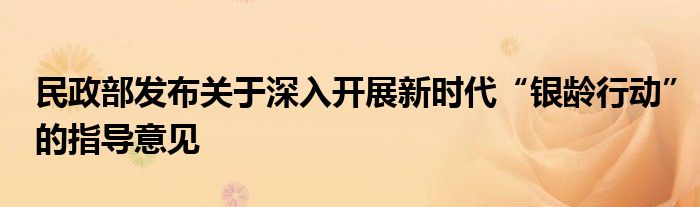 民政部发布关于深入开展新时代“银龄行动”的指导意见