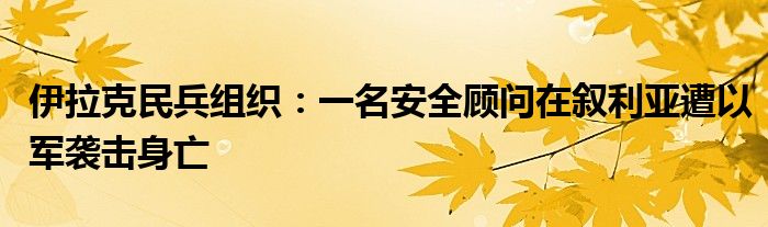 伊拉克民兵组织：一名安全顾问在叙利亚遭以军袭击身亡