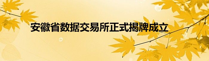 安徽省数据交易所正式揭牌成立