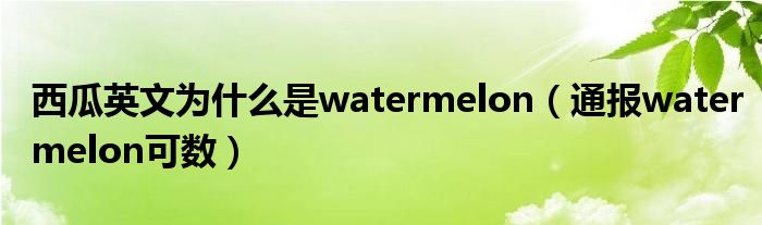 西瓜英文为什么是watermelon（通报watermelon可数）