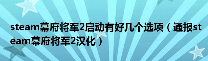 steam幕府将军2启动有好几个选项（通报steam幕府将军2汉化）