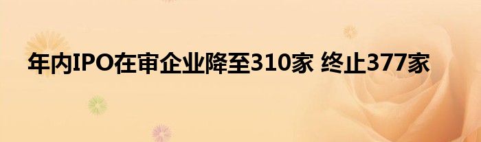 年内IPO在审企业降至310家 终止377家