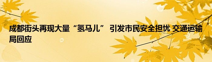 成都街头再现大量“氢马儿” 引发市民安全担忧 交通运输局回应