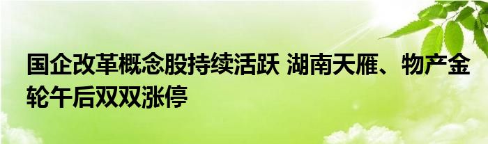 国企改革概念股持续活跃 湖南天雁、物产金轮午后双双涨停