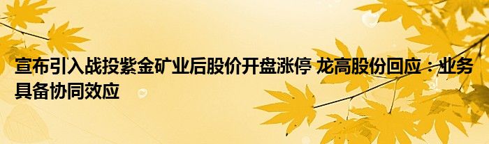 宣布引入战投紫金矿业后股价开盘涨停 龙高股份回应：业务具备协同效应