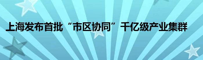 上海发布首批“市区协同”千亿级产业集群