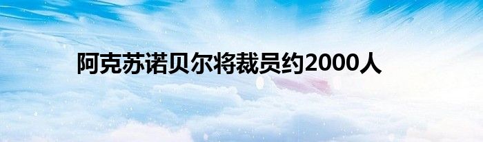 阿克苏诺贝尔将裁员约2000人