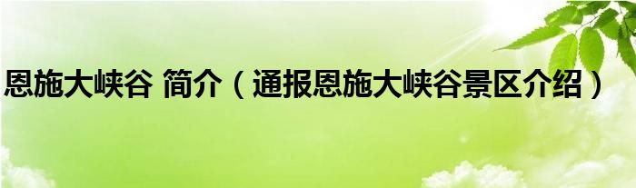 恩施大峡谷 简介（通报恩施大峡谷景区介绍）