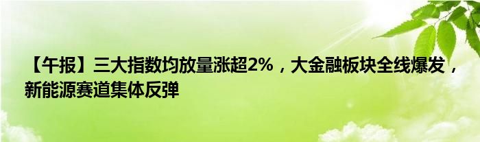 【午报】三大指数均放量涨超2%，大
板块全线爆发，新能源赛道集体反弹