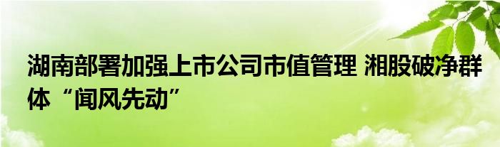 湖南部署加强上市公司市值管理 湘股破净群体“闻风先动”