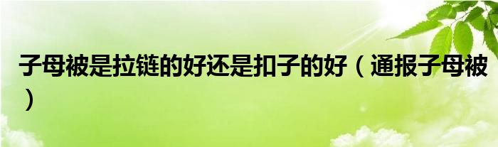 子母被是拉链的好还是扣子的好（通报子母被）