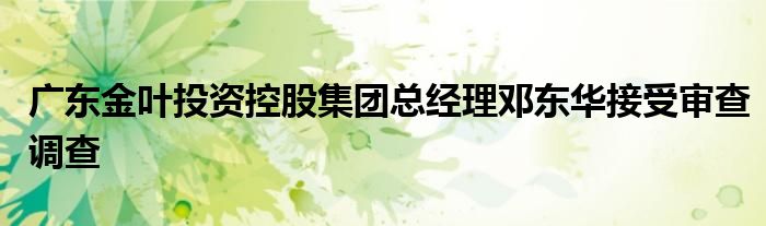 广东金叶投资控股集团总经理邓东华接受审查调查