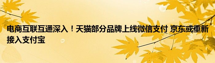 电商互联互通深入！天猫部分品牌上线微信支付 京东或重新接入支付宝