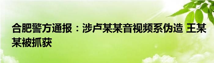 合肥警方通报：涉卢某某音视频系伪造 王某某被抓获