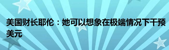 美国财长耶伦：她可以想象在极端情况下干预美元