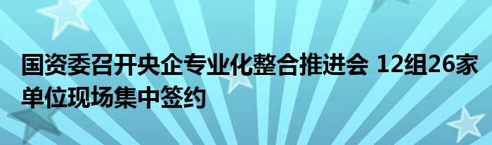 国资委召开央企专业化整合推进会 12组26家单位现场集中签约