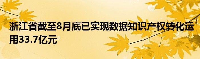 浙江省截至8月底已实现数据知识产权转化运用33.7亿元