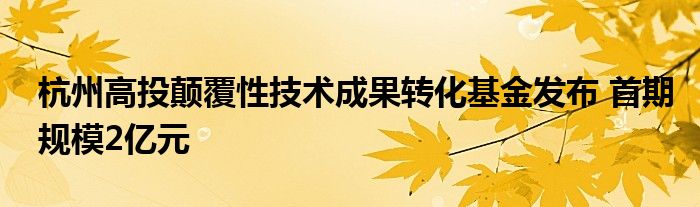 杭州高投颠覆性技术成果转化基金发布 首期规模2亿元